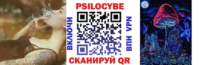 Галлюциногенные грибы Psilocybine cubensis  закладки  Уварово 